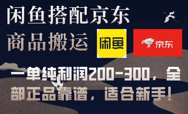 （7892期）闲鱼平台组合京东商城备份数据库运送，一纯粹盈利200-300，所有真品可靠，适合新手！-韬哥副业项目资源网