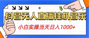 小白实操当天日入1000+，抖音24小时无人直播音乐，不违规，不封号纯撸音浪-韬哥副业项目资源网