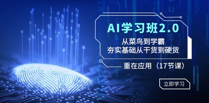 （8964期）AI学习班2.0：从菜鸟到学霸，夯实基础从干货到硬货，重在应用（17节课）-韬哥副业项目资源网