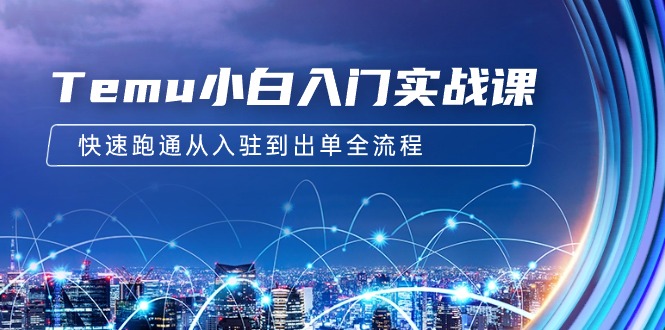 （9295期）Temu小白入门实战课：跨境拼多多电商培训 快速跑通从入驻到出单全流程-12节-韬哥副业项目资源网