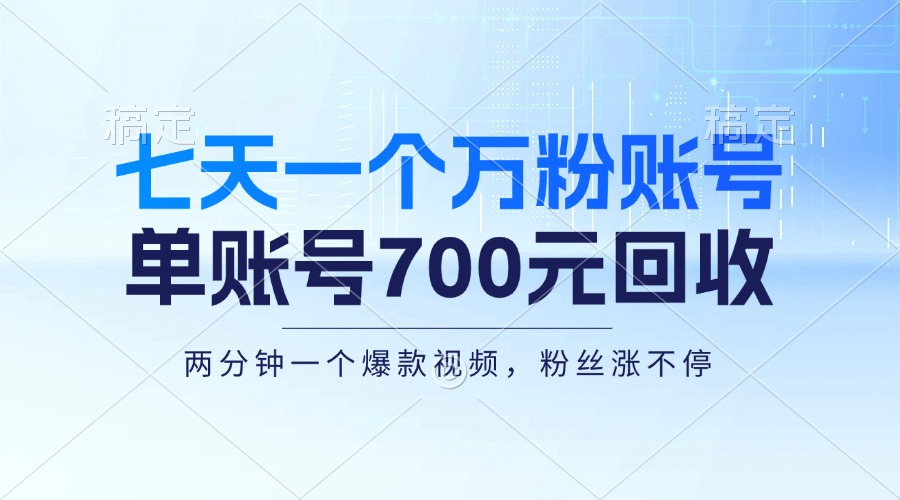 （13062期）七天一个万粉账户，新手入门秒入门，单账号回收700元，轻轻松松月入三万＋-韬哥副业项目资源网