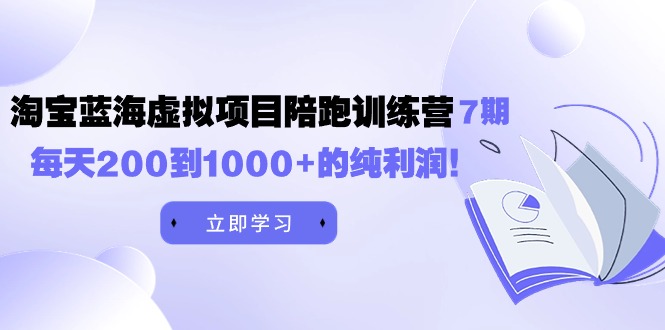 （9541期）黄岛主《淘宝蓝海虚拟项目陪跑训练营7期》每日200到1000 的净利润-韬哥副业项目资源网