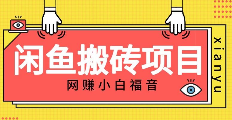 适合新手的咸鱼搬砖项目，日入50-100+，每天搞点零花钱-韬哥副业项目资源网