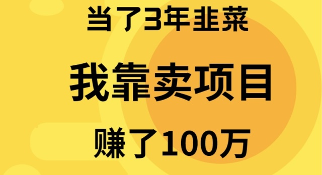 （9100期）当了3年韭菜，我靠卖项目赚了100万-韬哥副业项目资源网
