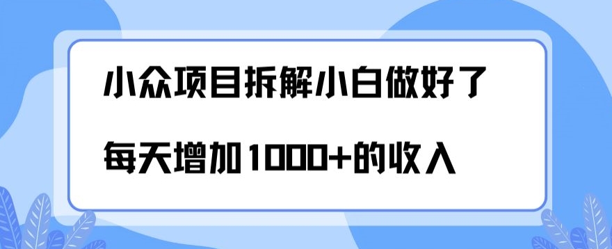 小众项目拆解，小白做好了每天可增加1000多的收入-韬哥副业项目资源网