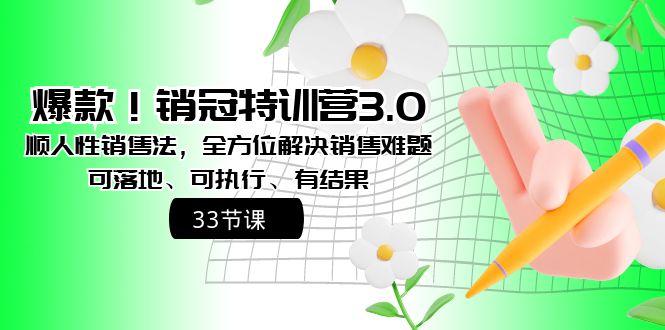 （8573期）爆品！销售冠军夏令营3.0之顺人的本性销售法，多方位处理市场销售难点、可落地式、可执…-韬哥副业项目资源网