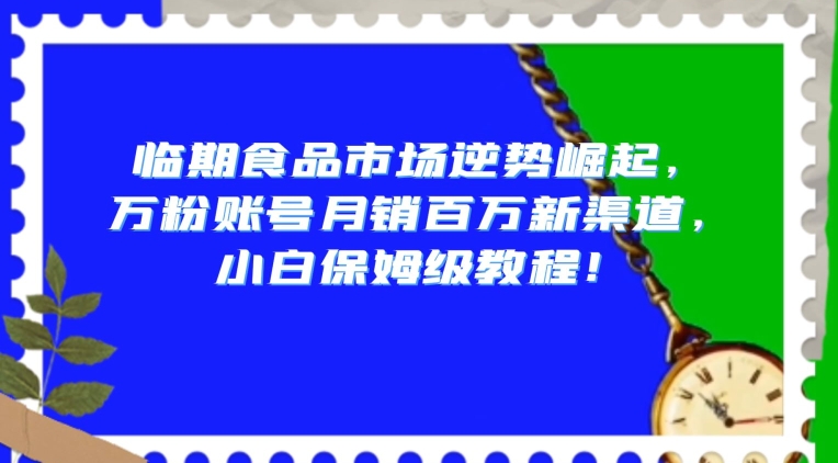 临期食品市场逆势崛起，万粉账号月销百万新渠道，小白保姆级教程【揭秘】-韬哥副业项目资源网