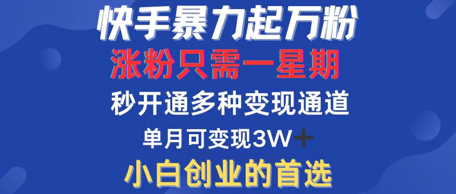 （12651期）快手暴力起万粉，涨粉只需一星期，多种变现模式，直接秒开万合，小白创…-韬哥副业项目资源网