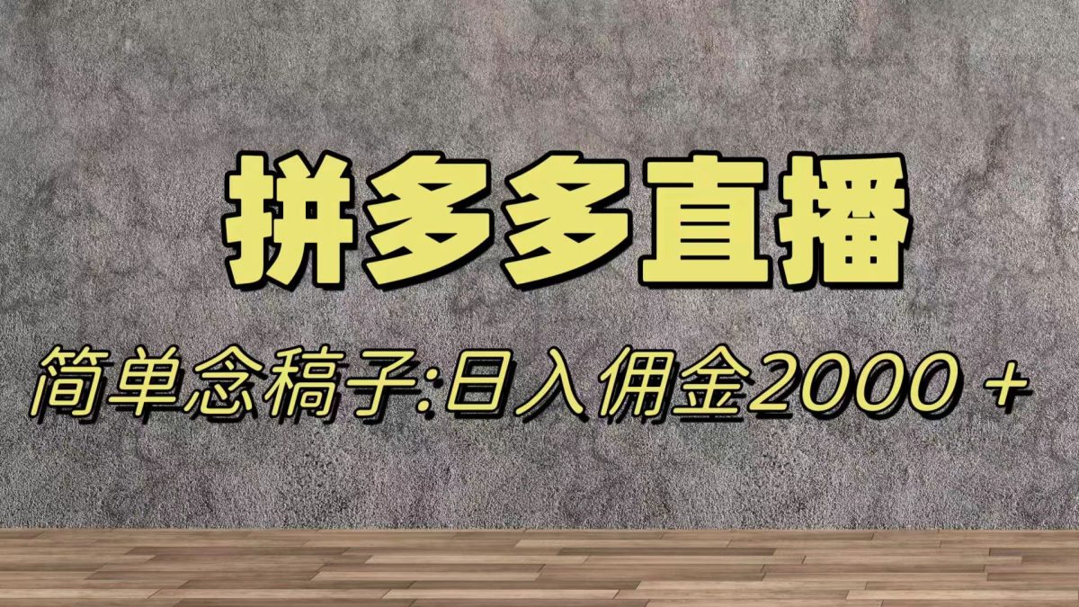 （7996期）瀚海跑道拼多多直播，不用漏脸，日提成2000＋-暖阳网-优质付费教程和创业项目大全-韬哥副业项目资源网