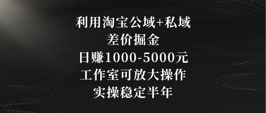 （8952期）运用淘宝网公域流量 公域价格差掘金队，日赚1000-5000元，个人工作室可变大实际操作，实际操作…-韬哥副业项目资源网