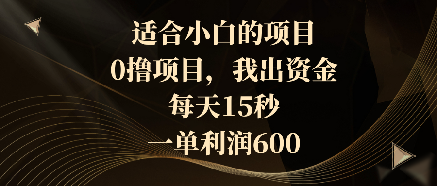 （8571期）适宜新手的新项目，0撸新项目，我出资产，每日15秒，一单利润600-韬哥副业项目资源网