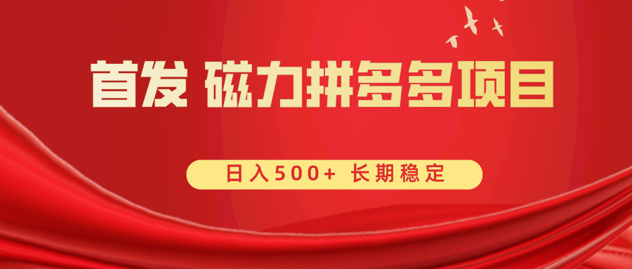 （8611期）首发 磁力拼多多自撸  日入500+-韬哥副业项目资源网