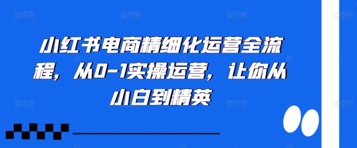 小红书电商精细化营销全过程，从0-1实际操作经营，使你从小白到精锐-韬哥副业项目资源网