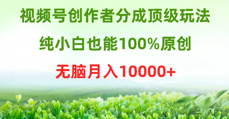 （9608期）微信视频号原创者分为顶尖游戏玩法，纯小白也可以100%原创设计，没脑子月收入10000-韬哥副业项目资源网