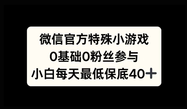 微信特殊游戏，0前提0粉丝们，新手入门每日至少最低40-韬哥副业项目资源网