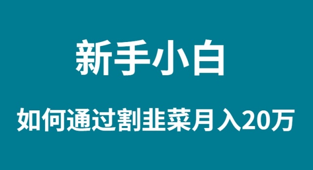（9308期）新手入门怎样通过当韭菜割月入 20W-韬哥副业项目资源网