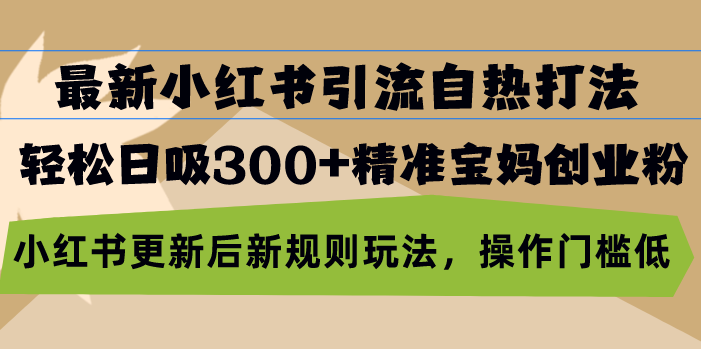 （13145期）最新小红书引流自热打法，轻松日吸300+精准宝妈创业粉，小红书更新后新…-韬哥副业项目资源网