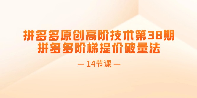 （11704期）拼多多平台原创设计高级技术性第38期，拼多多平台台阶涨价破量法（14堂课）-韬哥副业项目资源网