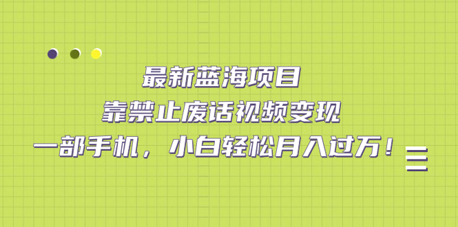 （7276期）全新蓝海项目，靠严禁空话视频变现，一部手机，新手轻轻松松月入破万！-韬哥副业项目资源网