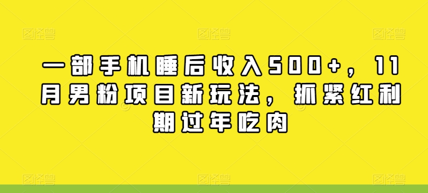 一部手机睡后收入500+，11月男粉项目新玩法，抓紧红利期过年吃肉-韬哥副业项目资源网