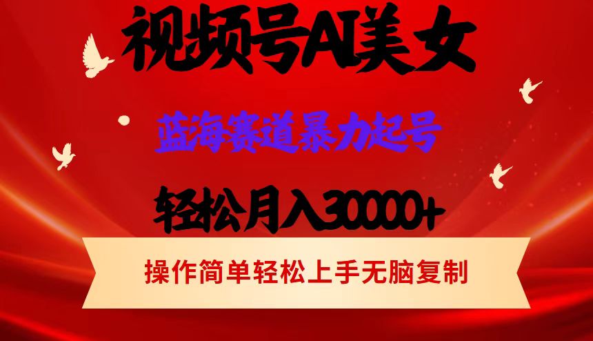 （12178期）视频号AI美女跳舞，轻松月入30000+，蓝海赛道，流量池巨大，起号猛，当…-韬哥副业项目资源网