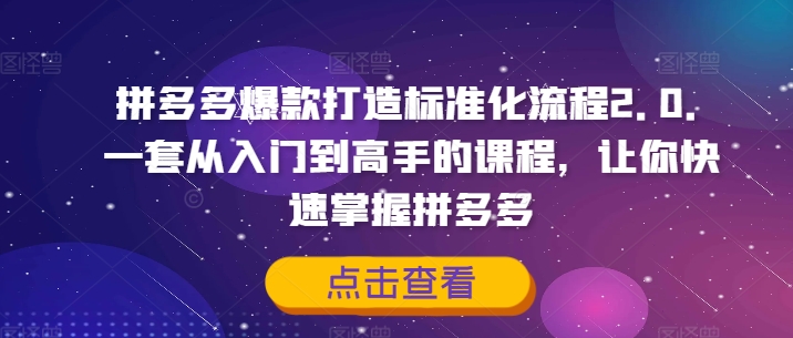 拼多多爆款打造出标准流程2.0，一套从入门到大佬的课程内容，让你快速把握拼多多平台-韬哥副业项目资源网