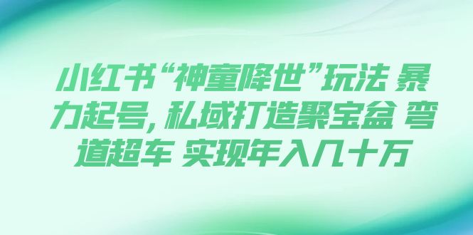 （7673期）小红书的“天才儿童临世”游戏玩法 暴力行为养号,公域打造出聚宝盘 弯道超越 完成年收入几十万-韬哥副业项目资源网