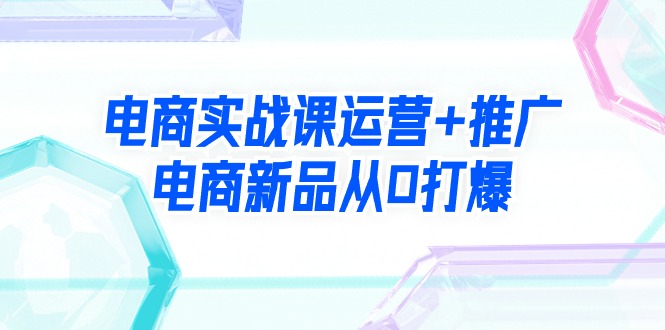 （9313期）电子商务实战演练课经营 营销推广，电子商务新产品从0打穿（99节视频课程）-韬哥副业项目资源网