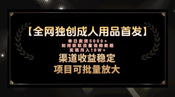 (8128期)全新各大网站独创性先发,两性用品跑道引流方法拓客,月入10w家庭保姆级实例教程-暖阳网-优质付费教程和创业项目大全-韬哥副业项目资源网