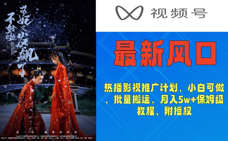 视频号最新风口，热播影视推广计划，小白可做，批量搬运，月入5w+保姆级教程，附授权-韬哥副业项目资源网