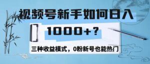 视频号新手如何日1000+？三种收益模式，0粉新号也能热门-韬哥副业项目资源网