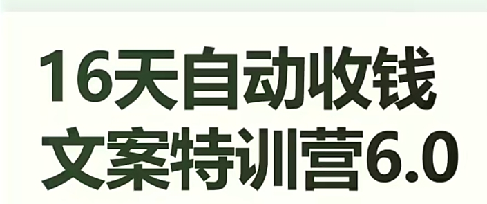 16天全自动收款创意文案夏令营6.0，懂得儿每日全自动咯咯收款-韬哥副业项目资源网