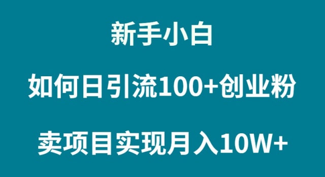 （9556期）新手入门怎样通过卖项目完成月入10W-韬哥副业项目资源网