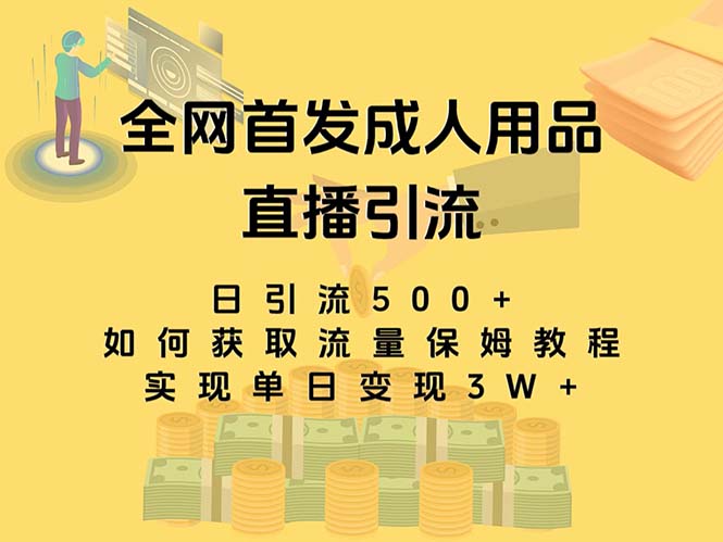 （8193期）最新全网独创首发，成人用品直播引流获客暴力玩法，单日变现3w保姆级教程-暖阳网-优质付费教程和创业项目大全-韬哥副业项目资源网