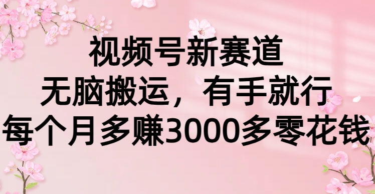 （9278期）视频号新赛道，无脑搬运，有手就行，每个月多赚3000多零花钱-韬哥副业项目资源网