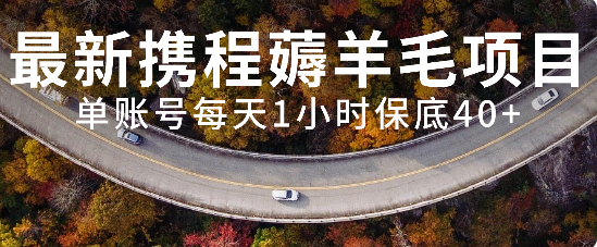（7995期）全新携程网撸羊毛新项目，单账户每日1钟头保底收益40 ，可引流矩阵实际操作-暖阳网-优质付费教程和创业项目大全-韬哥副业项目资源网