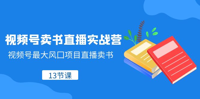 （8080期）微信视频号-开书店直播间实战营，微信视频号较大风囗新项目直播卖书（13堂课）-暖阳网-优质付费教程和创业项目大全-韬哥副业项目资源网