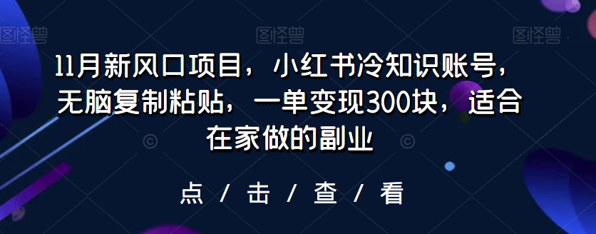 11月新风口项目，小红书冷知识账号，无脑复制粘贴，一单变现300块，适合在家做的副业-韬哥副业项目资源网