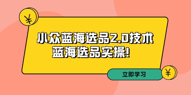 （9189期）拼多多培训第33期：小众蓝海选品2.0技术-蓝海选品实操！-韬哥副业项目资源网