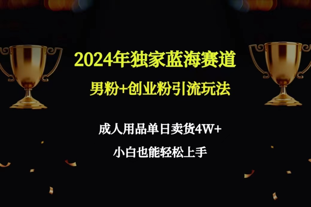 （9112期）2024年独家代理瀚海跑道粉丝 自主创业粉引流方法游戏玩法，两性用品单日卖东西4W 家庭保姆实例教程-韬哥副业项目资源网