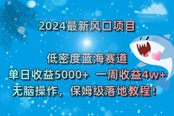 （8545期）2024全新蓝海项目 高密度瀚海跑道，日盈利5000 周盈利4w  没脑子实际操作，保…-韬哥副业项目资源网