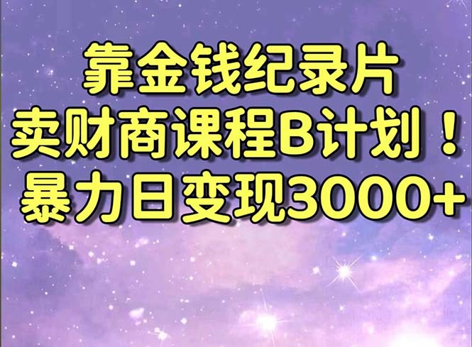 （8944期）靠钱财纪实片卖财商课程B方案！暴力行为日转现3000 ，喂食式干货知识实例教程！-韬哥副业项目资源网