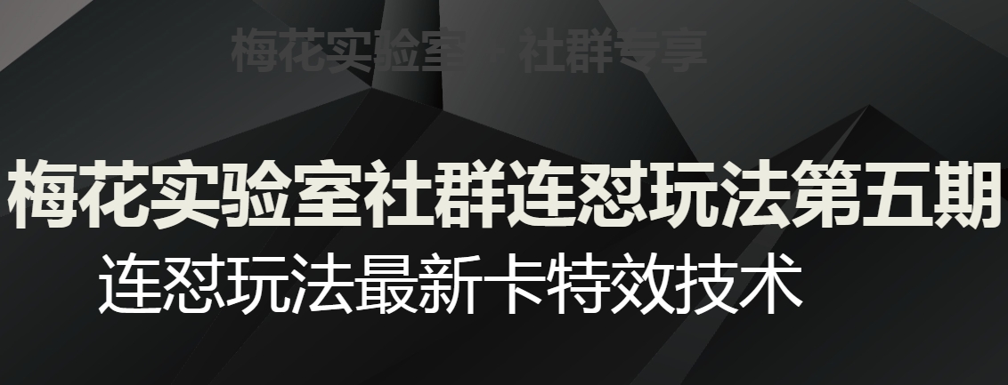 红梅花试验室社群营销连怼游戏玩法第五期，微信视频号连怼游戏玩法全新卡特效技术-韬哥副业项目资源网