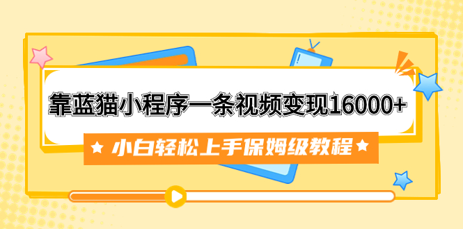 （7595期）靠布偶猫微信小程序一条视频变现16000 新手快速上手家庭保姆级实例教程（附166G材料素材内容）-韬哥副业项目资源网