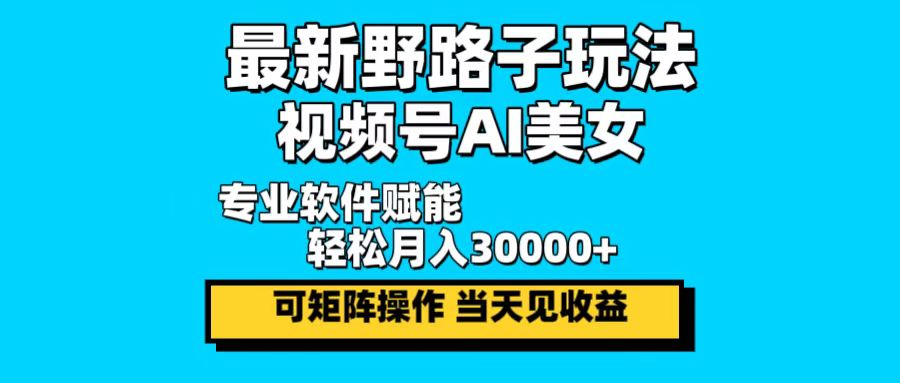 （12798期）最新野路子玩法，视频号AI美女，当天见收益，轻松月入30000＋-韬哥副业项目资源网