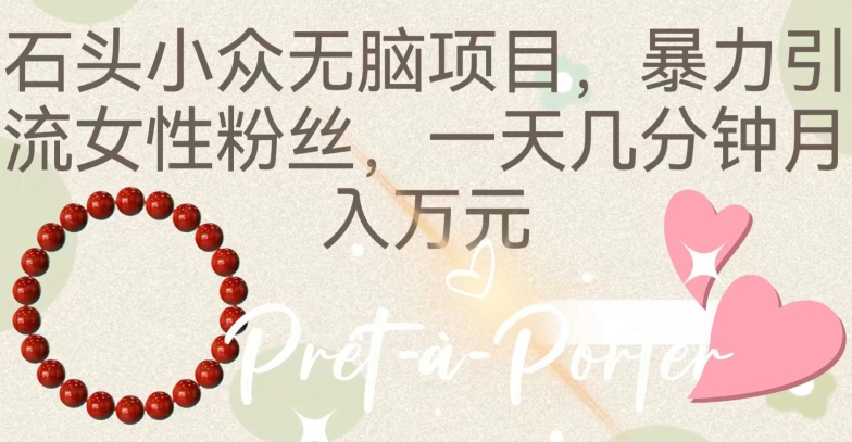 石头小众无脑项目，暴力引流女性粉丝，一天几分钟月入万元-韬哥副业项目资源网