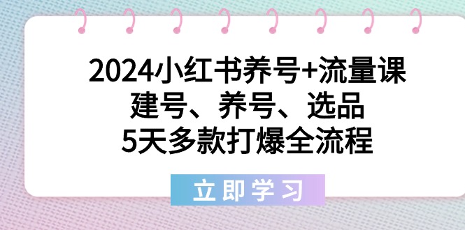 （8974期）2024小红书的起号 总流量课：创号、起号、选款，5天几款打穿全过程-韬哥副业项目资源网