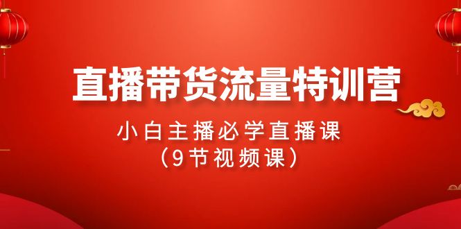 （9592期）2024直播卖货总流量夏令营，新手网络主播必会视频课堂（9节视频课程）-韬哥副业项目资源网