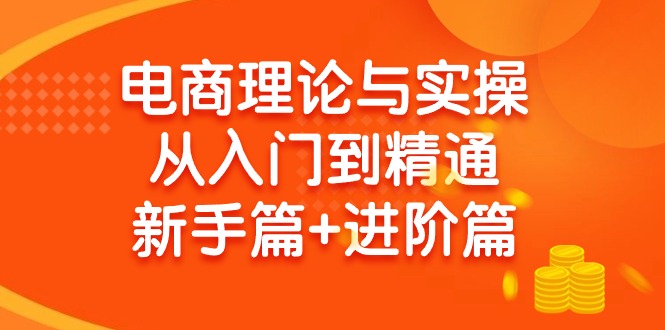 （9576期）电子商务理论和实际操作实用教程：抖音小店 淘宝 多多的，初学者篇 实战篇-韬哥副业项目资源网