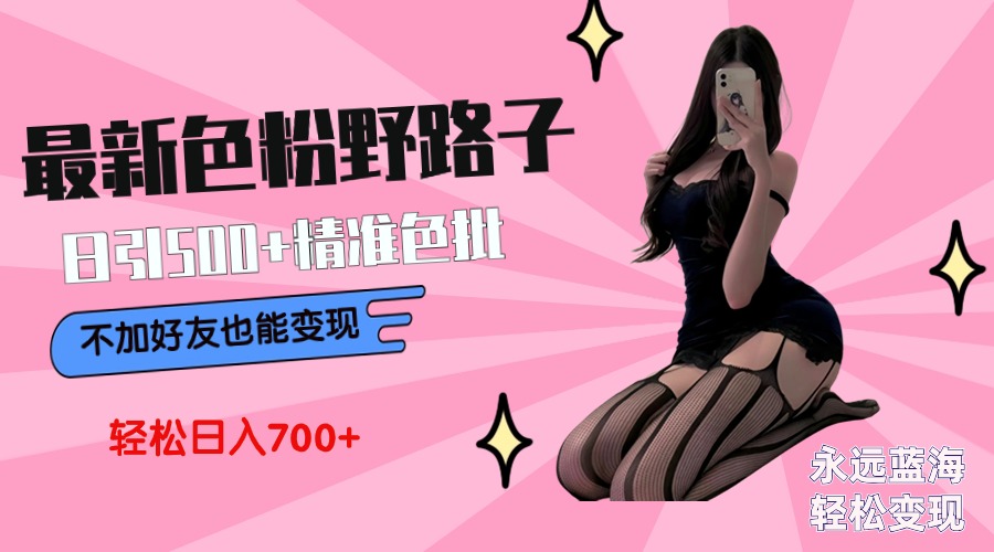 （9119期）全新颜料转现歪门邪道，日引500 老色批 可不加好友立即转现 新手轻轻松松日入700-韬哥副业项目资源网